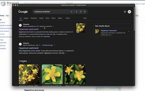 Highlight Researcher  from Chrome web store to be run with OffiDocs Chromium online