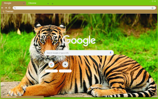 Ho  from Chrome web store to be run with OffiDocs Chromium online