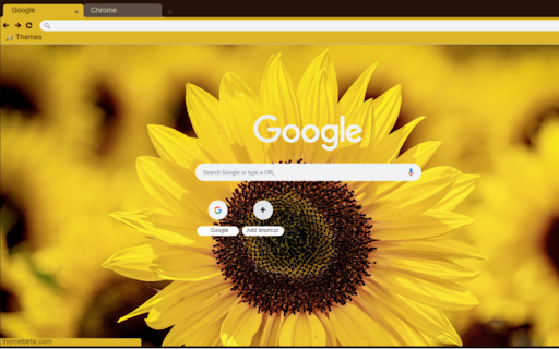 Hoa hướng dương  from Chrome web store to be run with OffiDocs Chromium online
