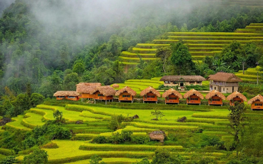 Hoang Su Phi Lodge – A Tranquil Retreat Amidst Ha Giang’s Rice Terraces  from Chrome web store to be run with OffiDocs Chromium online