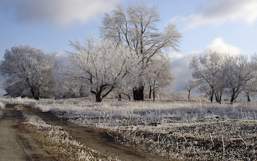 Hoarfrost Landscape  from Chrome web store to be run with OffiDocs Chromium online