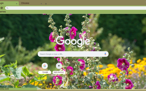 Hollyhock  from Chrome web store to be run with OffiDocs Chromium online