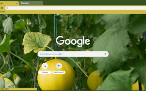 Honeydew Tree  from Chrome web store to be run with OffiDocs Chromium online