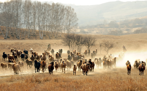 Horse herder  from Chrome web store to be run with OffiDocs Chromium online