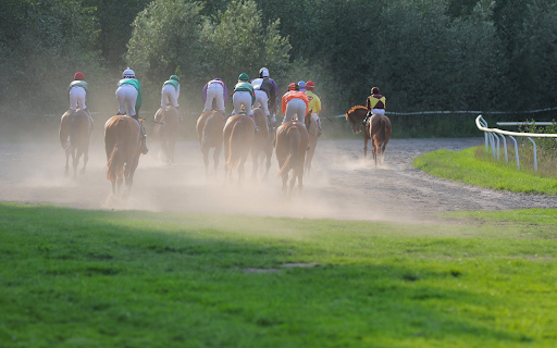 Horse racing competition  from Chrome web store to be run with OffiDocs Chromium online