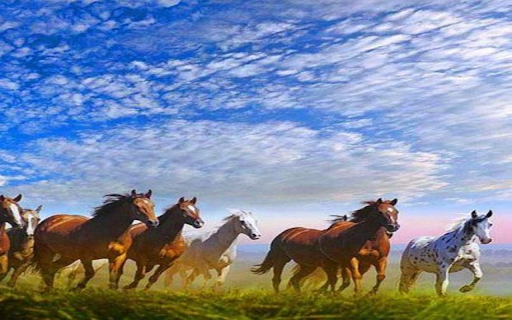 Horses galloping wallpaper  from Chrome web store to be run with OffiDocs Chromium online