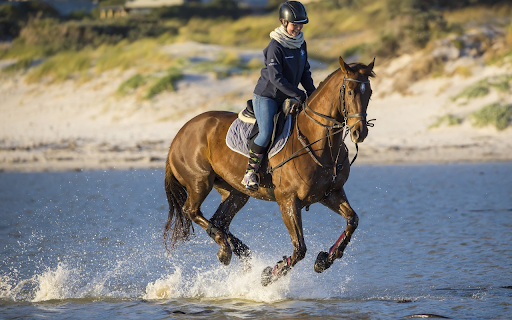 Horses run on water  from Chrome web store to be run with OffiDocs Chromium online