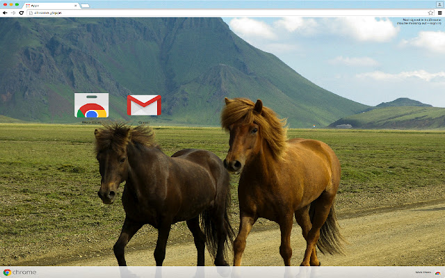 Horses Theme  from Chrome web store to be run with OffiDocs Chromium online