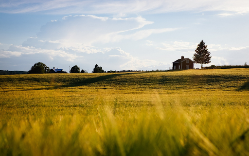House in the field  from Chrome web store to be run with OffiDocs Chromium online