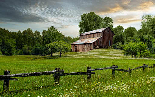 House in the middle of a vast green forest  from Chrome web store to be run with OffiDocs Chromium online