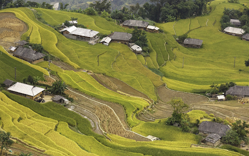 houses and terraced fields  from Chrome web store to be run with OffiDocs Chromium online