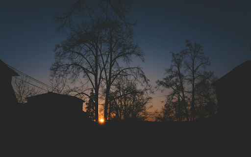 Houses Under Calm Blue Sky during Golden Hour  from Chrome web store to be run with OffiDocs Chromium online