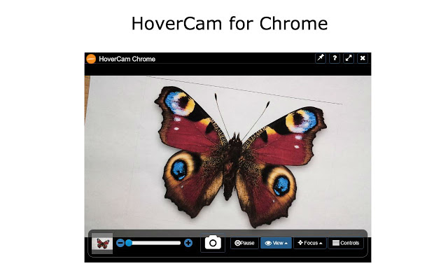 HoverCam for Chrome  from Chrome web store to be run with OffiDocs Chromium online