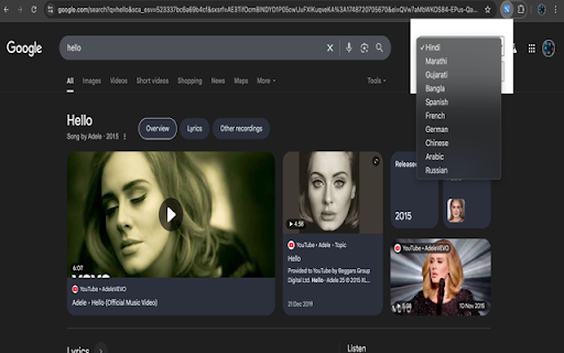 Hover Translate Magnifier  from Chrome web store to be run with OffiDocs Chromium online