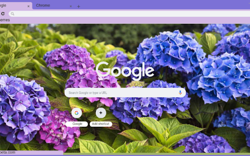 Hydrangea  from Chrome web store to be run with OffiDocs Chromium online