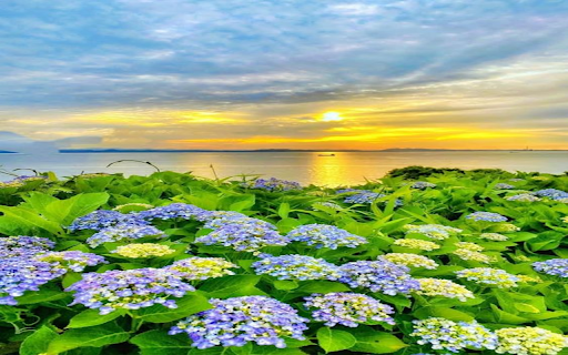 Hydrangeas by the lake Wallpaper  from Chrome web store to be run with OffiDocs Chromium online