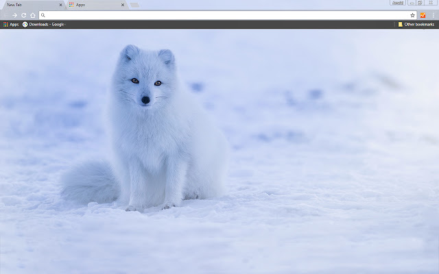 Iceland Fox  from Chrome web store to be run with OffiDocs Chromium online