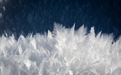 Ice leaf tree  from Chrome web store to be run with OffiDocs Chromium online