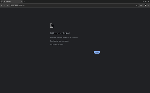 IDNblock Punycode Filter  from Chrome web store to be run with OffiDocs Chromium online