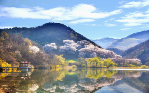 Idyllic Lakeside Setting with Spring Blossoms  from Chrome web store to be run with OffiDocs Chromium online