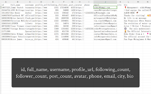 IGEmail IG Email Extractor  from Chrome web store to be run with OffiDocs Chromium online