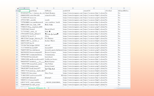 IG Follower Export IG Email Extractor  from Chrome web store to be run with OffiDocs Chromium online