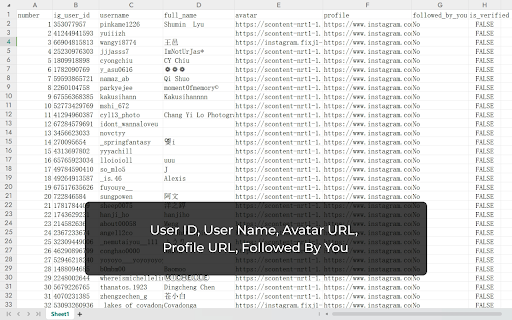 IG Followers Exporter from Chrome web store to be run with OffiDocs Chromium online IG Followers Exporter from Chrome web store to be run with OffiDocs Chromium online