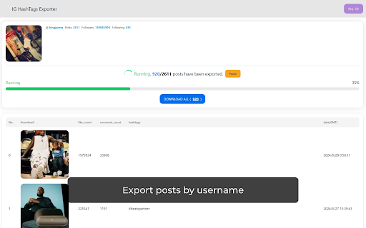 IG HashTag Export Tool  from Chrome web store to be run with OffiDocs Chromium online