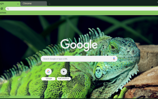 Iguana  from Chrome web store to be run with OffiDocs Chromium online