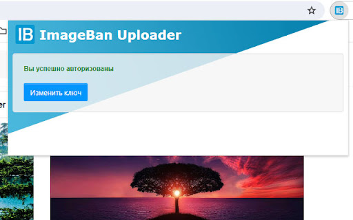 ImageBan Uploader  from Chrome web store to be run with OffiDocs Chromium online