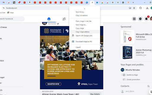 Image Downloader  from Chrome web store to be run with OffiDocs Chromium online