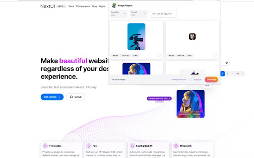 Image Downloader Image Raptor  from Chrome web store to be run with OffiDocs Chromium online