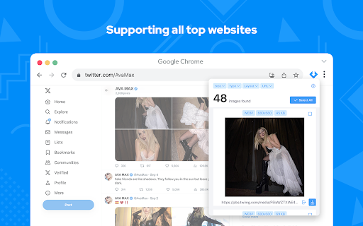 Image downloader picture and photos saver  from Chrome web store to be run with OffiDocs Chromium online