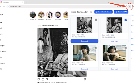 Image Downloader PM Code with AI  from Chrome web store to be run with OffiDocs Chromium online