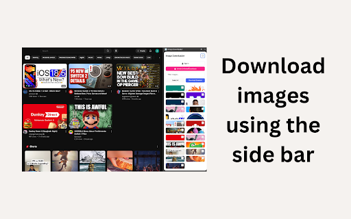 Image Downloader Pro  from Chrome web store to be run with OffiDocs Chromium online