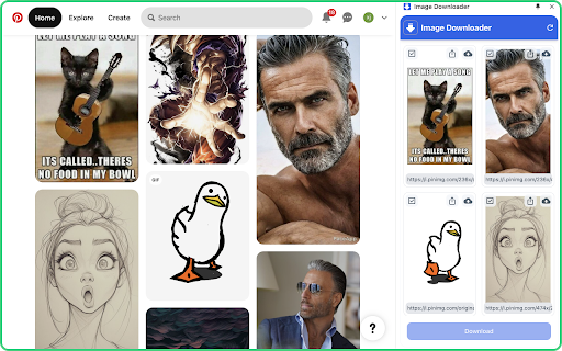 Image Downloader Save pictures  from Chrome web store to be run with OffiDocs Chromium online