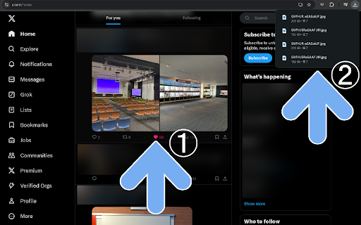 Image Downloader X  from Chrome web store to be run with OffiDocs Chromium online