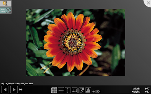 Image Drops: Downloader  Viewer for web images  from Chrome web store to be run with OffiDocs Chromium online