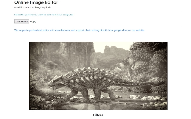 Image Editor for Google Chrome™  from Chrome web store to be run with OffiDocs Chromium online