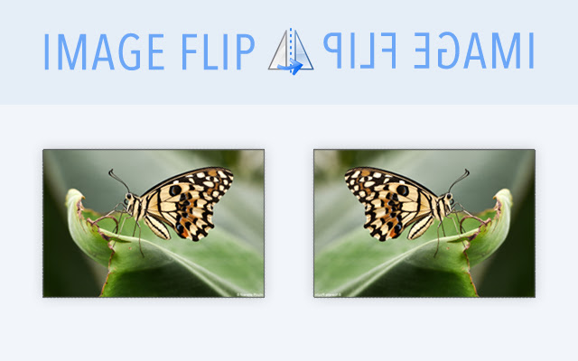 Image Flip  from Chrome web store to be run with OffiDocs Chromium online