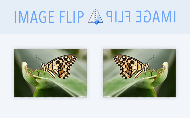 Image Flip  from Chrome web store to be run with OffiDocs Chromium online