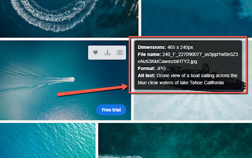Image Information Viewer  from Chrome web store to be run with OffiDocs Chromium online