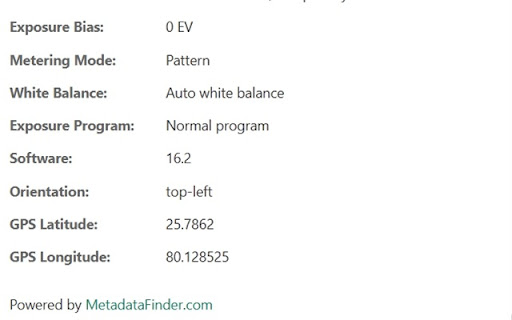 Image Metadata Viewer  from Chrome web store to be run with OffiDocs Chromium online