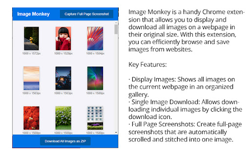 Image Monkey Free Image Downloader  from Chrome web store to be run with OffiDocs Chromium online