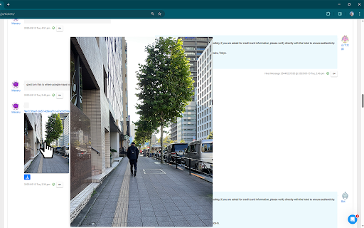 Image Previewer for AirHost  from Chrome web store to be run with OffiDocs Chromium online