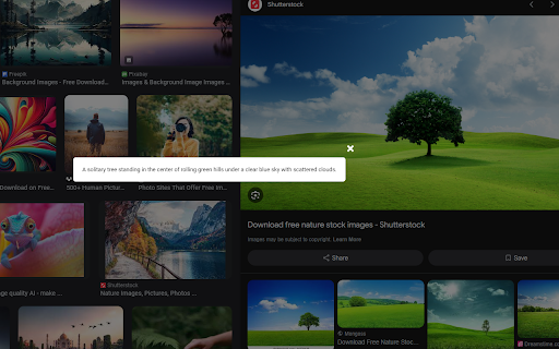 Images Alt Text Generator  from Chrome web store to be run with OffiDocs Chromium online