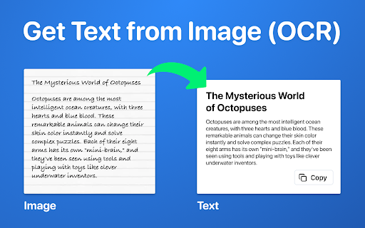 Image to Text Converter  from Chrome web store to be run with OffiDocs Chromium online