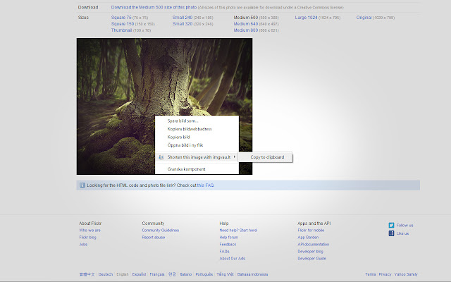 ImageVault URL Shortener  from Chrome web store to be run with OffiDocs Chromium online