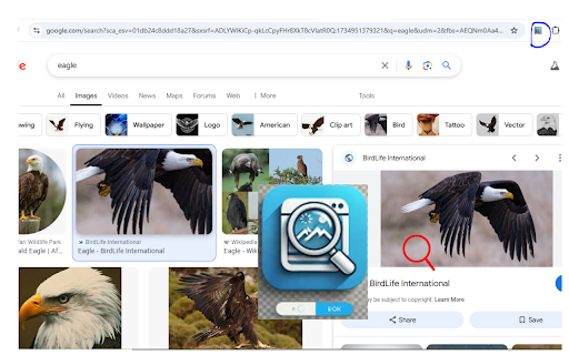 Image Zoom  from Chrome web store to be run with OffiDocs Chromium online