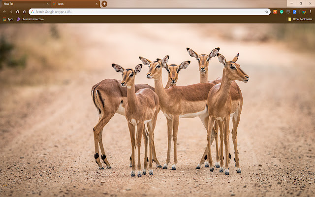 Impalas  from Chrome web store to be run with OffiDocs Chromium online